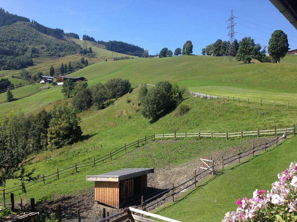Вилла Weisssteinalm Капрун Экстерьер фото